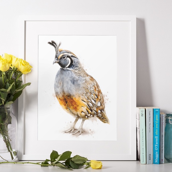 Watercolor Quail Wall Art Print, Unframed - Vibrant Nature-Inspired Home Decor - Picture 6 of 6